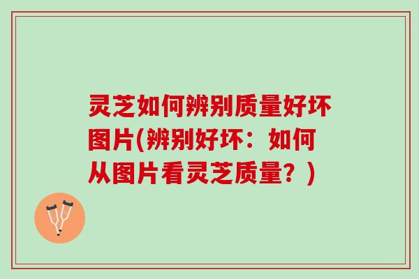 灵芝如何辨别质量好坏图片(辨别好坏：如何从图片看灵芝质量？)
