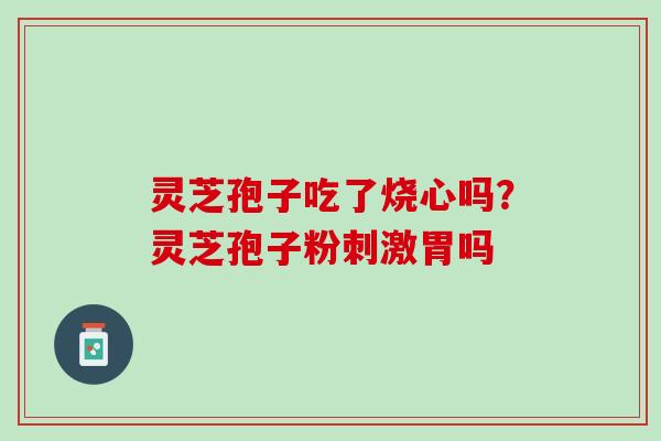 灵芝孢子吃了烧心吗？灵芝孢子粉刺激胃吗