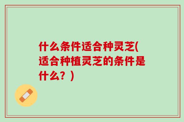 什么条件适合种灵芝(适合种植灵芝的条件是什么？)