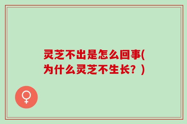 灵芝不出是怎么回事(为什么灵芝不生长？)