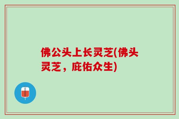 佛公头上长灵芝(佛头灵芝,庇佑众生) 佛公头上长灵芝(佛头灵芝,庇佑众生)