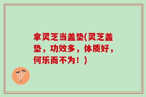 拿灵芝当盖垫(灵芝盖垫，功效多，体质好，何乐而不为！)