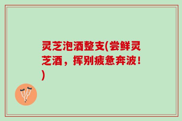 灵芝泡酒整支(尝鲜灵芝酒，挥别疲惫奔波！)