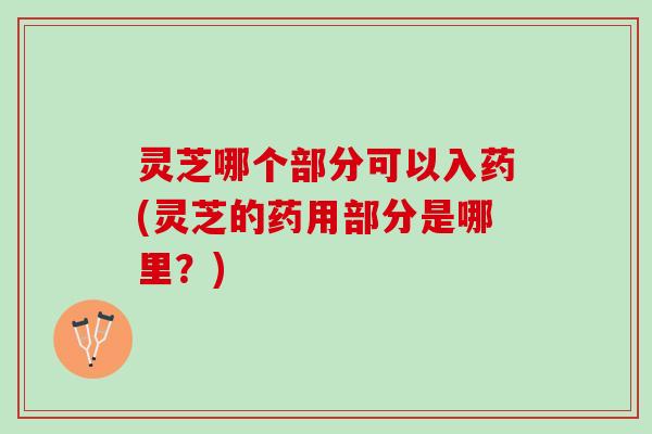 灵芝哪个部分可以入药(灵芝的药用部分是哪里？)