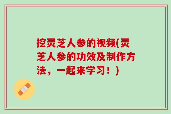 挖灵芝人参的视频(灵芝人参的功效及制作方法,一起来学习!) 挖灵芝人参的视频(灵芝人参的功效及制作方法,一起来学习!)