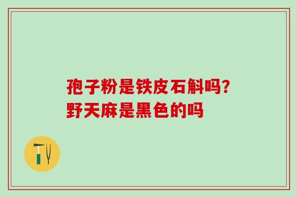 孢子粉是铁皮石斛吗？野天麻是黑色的吗