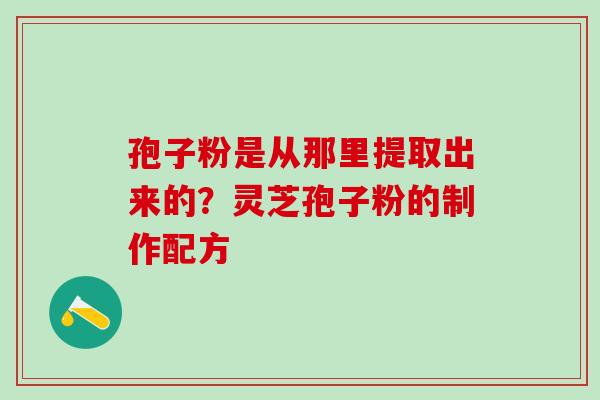 孢子粉是从那里提取出来的？灵芝孢子粉的制作配方