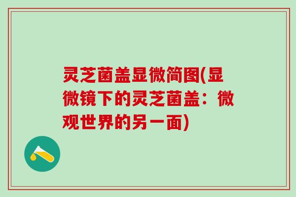 灵芝菌盖显微简图(显微镜下的灵芝菌盖：微观世界的另一面)