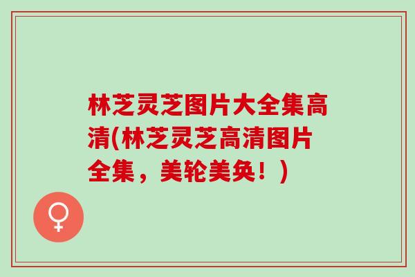 林芝灵芝图片大全集高清(林芝灵芝高清图片全集,美轮美奂!) 林芝灵芝图片大全集高清(林芝灵芝高清图片全集,美轮美奂!)