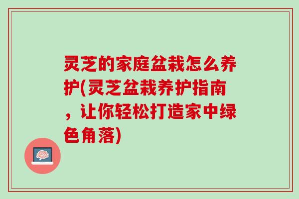 灵芝的家庭盆栽怎么养护(灵芝盆栽养护指南，让你轻松打造家中绿色角落)