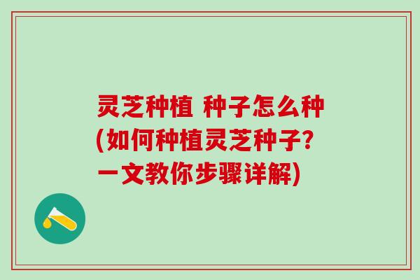 灵芝种植 种子怎么种(如何种植灵芝种子？一文教你步骤详解)