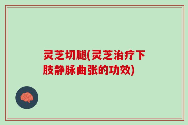 灵芝切腿(灵芝治疗下肢静脉曲张的功效)