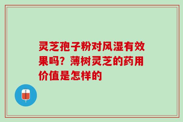 灵芝孢子粉对风湿有效果吗？薄树灵芝的药用价值是怎样的