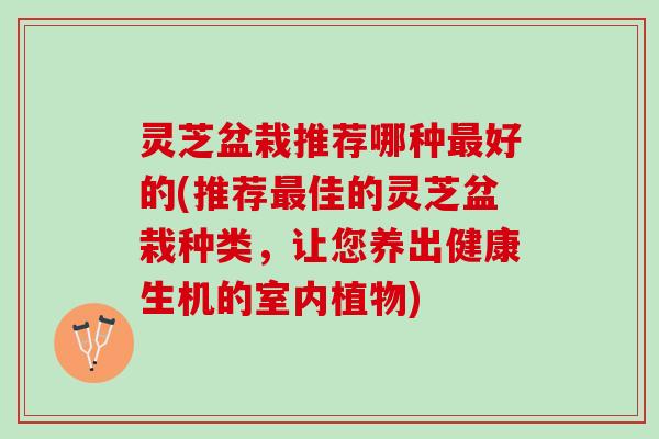 灵芝盆栽推荐哪种最好的(推荐最佳的灵芝盆栽种类，让您养出健康生机的室内植物)