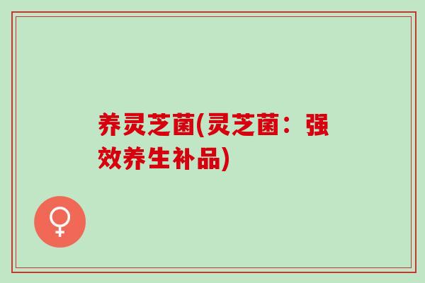 养灵芝菌(灵芝菌：强效养生补品)