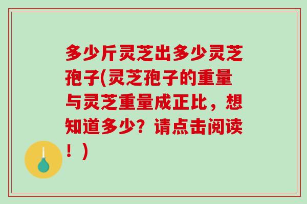 多少斤灵芝出多少灵芝孢子(灵芝孢子的重量与灵芝重量成正比，想知道多少？请点击阅读！)