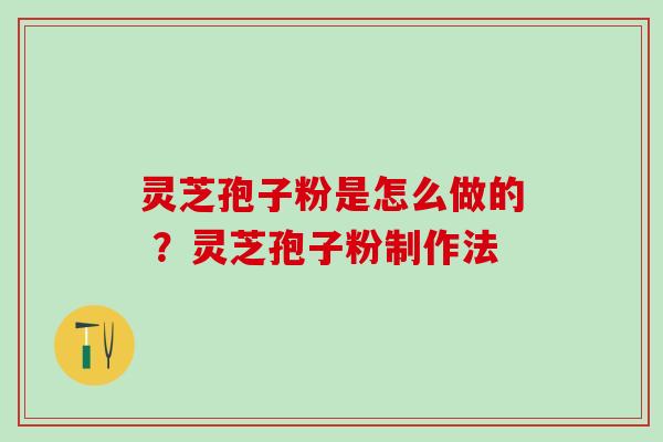 灵芝孢子粉是怎么做的 ？灵芝孢子粉制作法