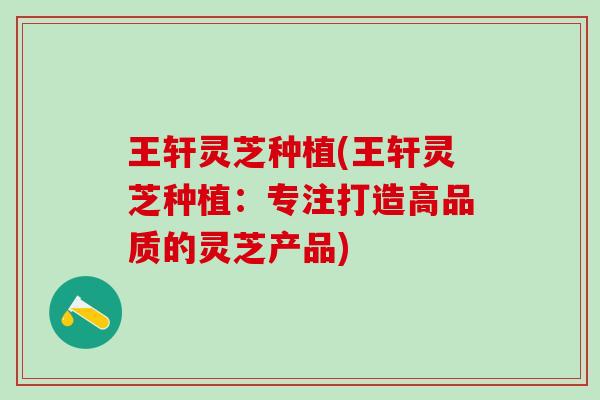 王轩灵芝种植(王轩灵芝种植：专注打造高品质的灵芝产品)