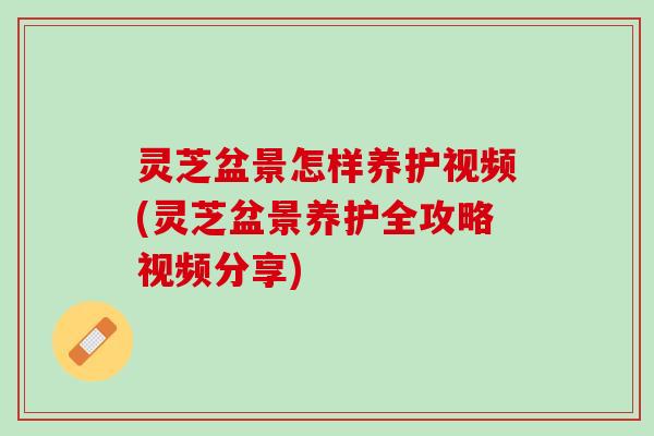 灵芝盆景怎样养护视频(灵芝盆景养护全攻略视频分享) 灵芝盆景怎样养护视频(灵芝盆景养护全攻略视频分享)
