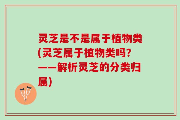灵芝是不是属于植物类(灵芝属于植物类吗？——解析灵芝的分类归属)