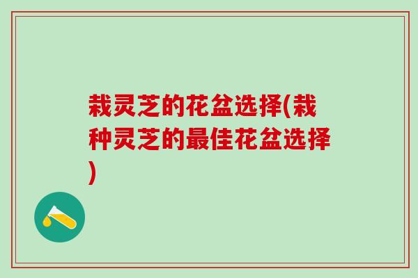 栽灵芝的花盆选择(栽种灵芝的最佳花盆选择)