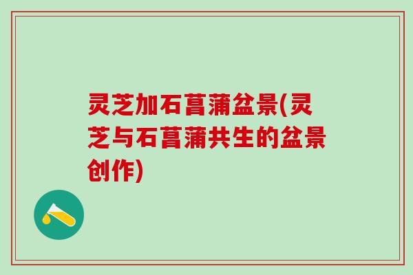 灵芝加石菖蒲盆景(灵芝与石菖蒲共生的盆景创作) 灵芝加石菖蒲盆景(灵芝与石菖蒲共生的盆景创作)