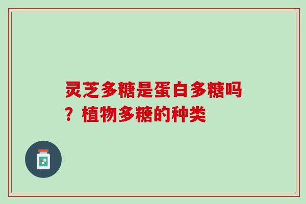 灵芝多糖是蛋白多糖吗？植物多糖的种类