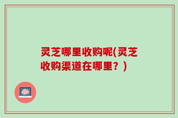 灵芝哪里收购呢(灵芝收购渠道在哪里?) 灵芝哪里收购呢(灵芝收购渠道在哪里?)