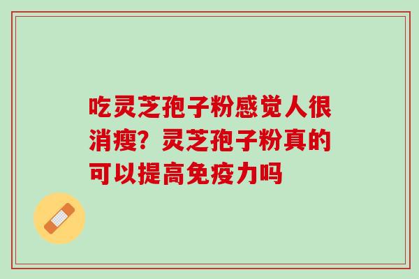 吃灵芝孢子粉感觉人很消瘦?灵芝孢子粉真的可以提高免疫力吗 吃灵芝孢子粉感觉人很消瘦?灵芝孢子粉真的可以提高免疫力吗