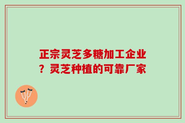 正宗灵芝多糖加工企业？灵芝种植的可靠厂家