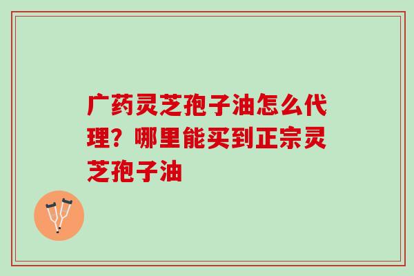 广药灵芝孢子油怎么代理？哪里能买到正宗灵芝孢子油
