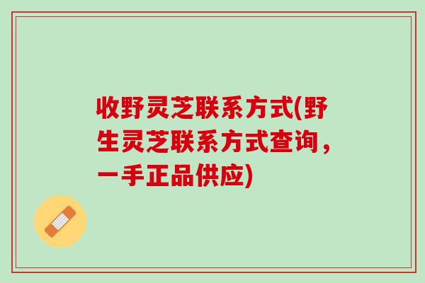 收野灵芝联系方式(野生灵芝联系方式查询，一手正品供应)