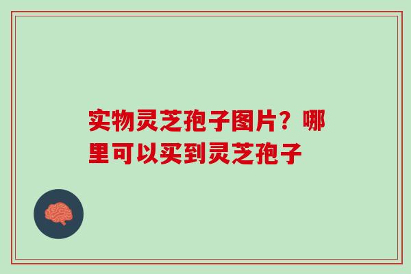实物灵芝孢子图片?哪里可以买到灵芝孢子 实物灵芝孢子图片?哪里可以买到灵芝孢子