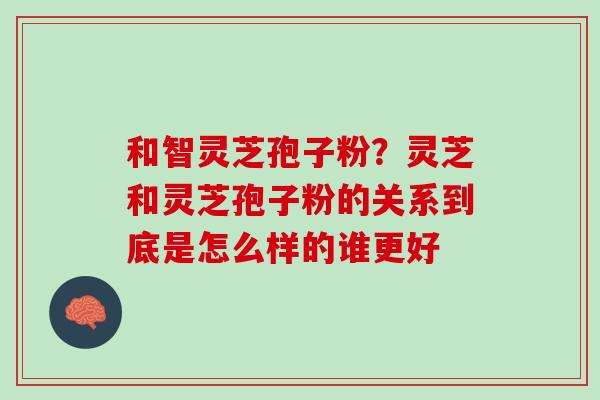 和智灵芝孢子粉？灵芝和灵芝孢子粉的关系到底是怎么样的谁更好