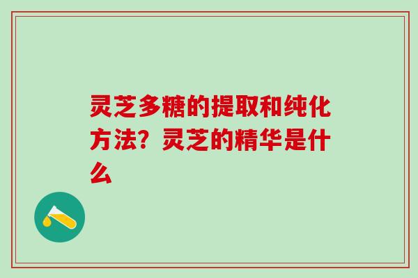 灵芝多糖的提取和纯化方法？灵芝的精华是什么