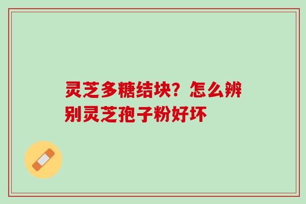 灵芝多糖结块？怎么辨别灵芝孢子粉好坏