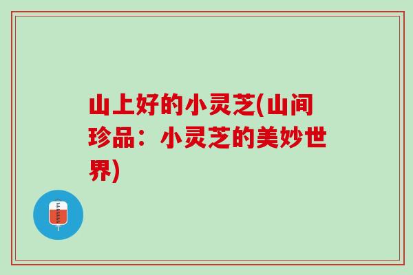 山上好的小灵芝(山间珍品：小灵芝的美妙世界)