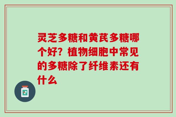灵芝多糖和黄芪多糖哪个好?植物细胞中常见的多糖除了纤维素还有什么 灵芝多糖和黄芪多糖哪个好?植物细胞中常见的多糖除了纤维素还有什么