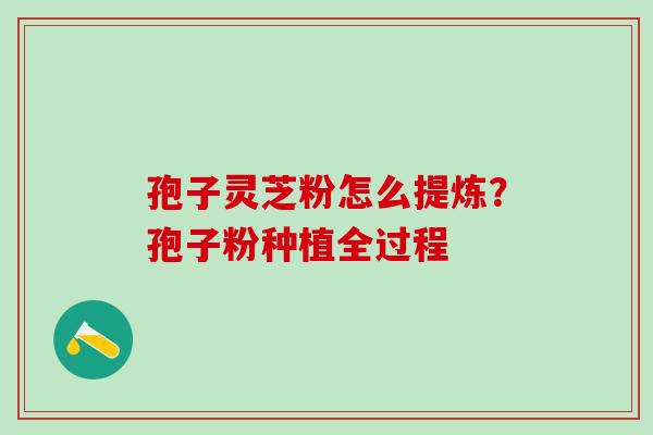 孢子灵芝粉怎么提炼？孢子粉种植全过程