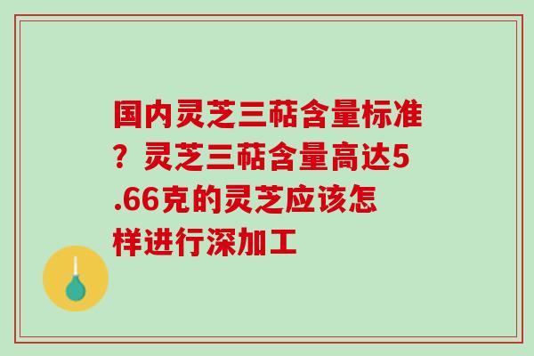 国内灵芝三萜含量标准？灵芝三萜含量高达5.66克的灵芝应该怎样进行深加工