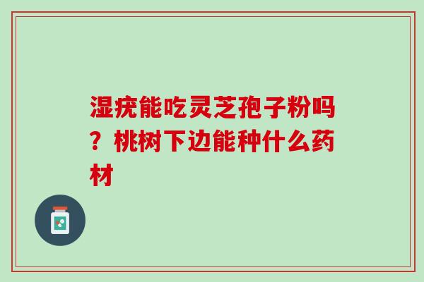 湿疣能吃灵芝孢子粉吗？桃树下边能种什么药材