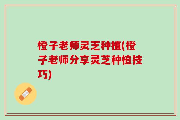 橙子老师灵芝种植(橙子老师分享灵芝种植技巧) 橙子老师灵芝种植(橙子老师分享灵芝种植技巧)