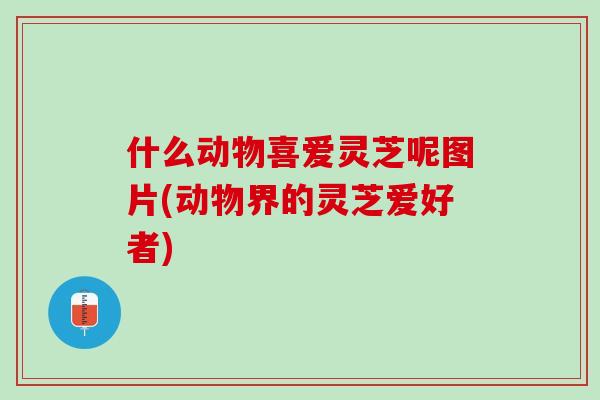 什么动物喜爱灵芝呢图片(动物界的灵芝爱好者)