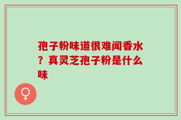 孢子粉味道很难闻香水？真灵芝孢子粉是什么味