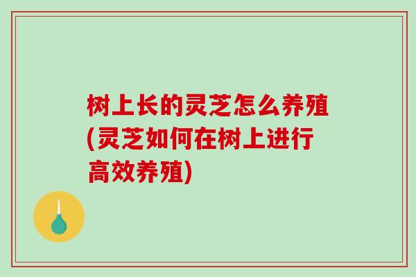 树上长的灵芝怎么养殖(灵芝如何在树上进行高效养殖)