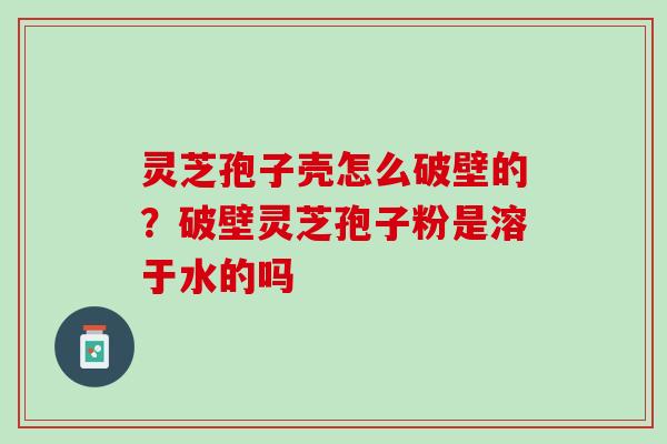 灵芝孢子壳怎么破壁的？破壁灵芝孢子粉是溶于水的吗