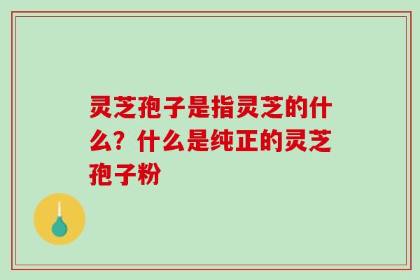 灵芝孢子是指灵芝的什么?什么是纯正的灵芝孢子粉 灵芝孢子是指灵芝的什么?什么是纯正的灵芝孢子粉