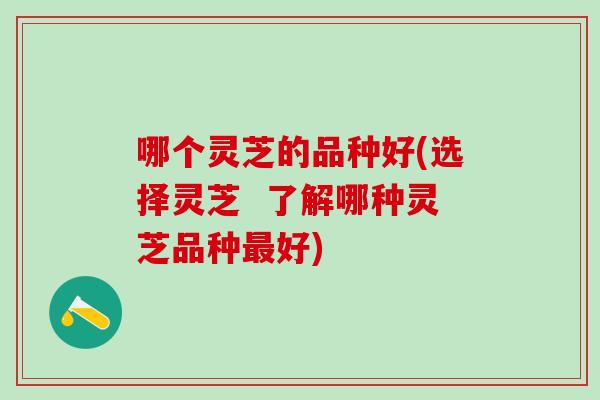 哪个灵芝的品种好(选择灵芝  了解哪种灵芝品种好)
