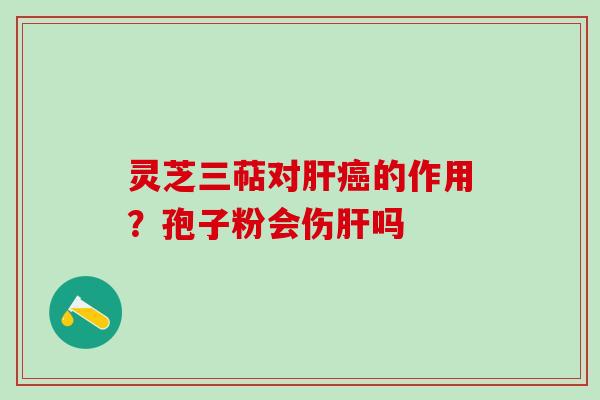 灵芝三萜对的作用?孢子粉会伤吗 灵芝三萜对的作用?孢子粉会伤吗