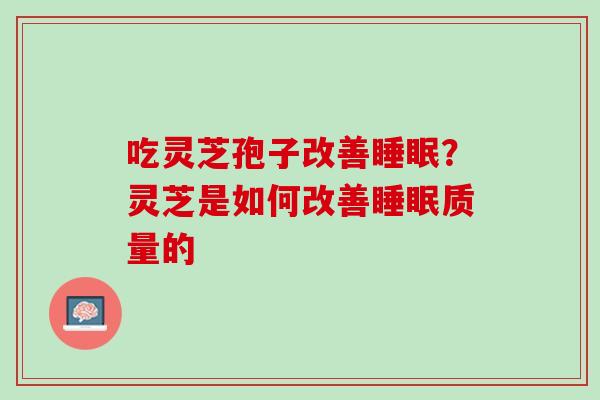 吃灵芝孢子改善？灵芝是如何改善质量的